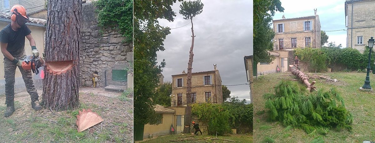 abattage d'un pin en plein centre ville d'Uzès